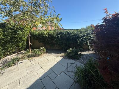 Picture 26